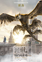 fantastic_beasts_and_where_to_find_them_ver20_xlg
