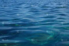 表面墨蓝色强烈