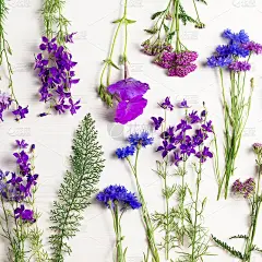 漂亮的蓝紫花架平躺在白色的木桌上，临摹空间，俯视图