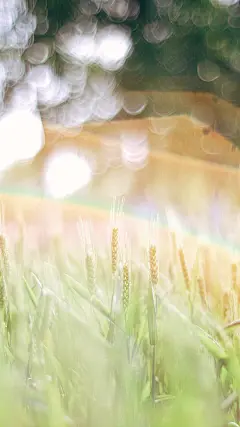 【高清手机壁纸。风景美图。城市风光摄影。设计灵感。桌面锁屏。日系韩系欧美。小清新。】❤️