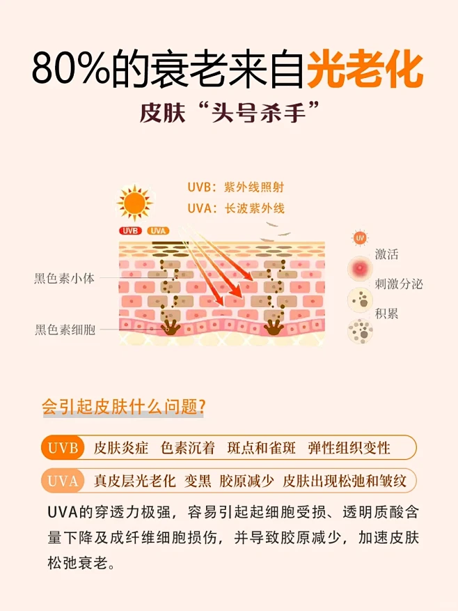 衰老的真相｜光老化和自由基到底是什么⁉️ - 小红书