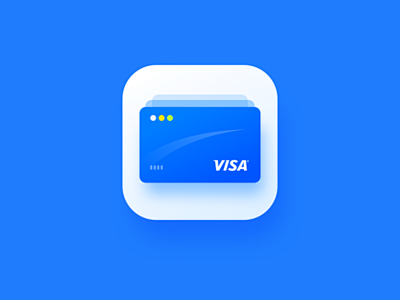 Visa credit card-2