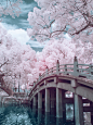 Infrared Photography of Dazaifu. on Behance