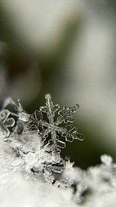 梦中我有一头迷人长发采集到冰雪