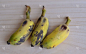 水果,香蕉,无人,维生素,熟的,小吃,特写,水平画幅,黄色,2015年