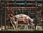 (75) Pinterest