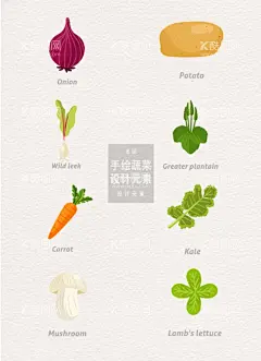 土豆萝卜  - 源文件下载【酷图网】手绘蔬菜,矢量蔬菜,蔬菜,蔬菜插画,蔬菜矢量图,卡通蔬菜,土豆,萝卜,洋葱
