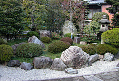 七一吖采集到乡村振兴