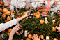 <p> For a recent product launch in Los Angeles, skincare brand Kiehl’s worked with HL Group to create an immersive...