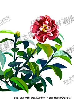 月季花 【酷图网】月季,花,叶,植物,花朵,花瓣,美丽,浪漫,花束,水彩花,手绘花,花卉,免扣,免扣素材,可爱,可爱花朵,鲜花,花草,春天素材,月季花