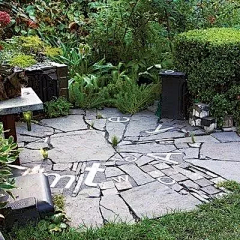 三埋两踩一提苗采集到铺装