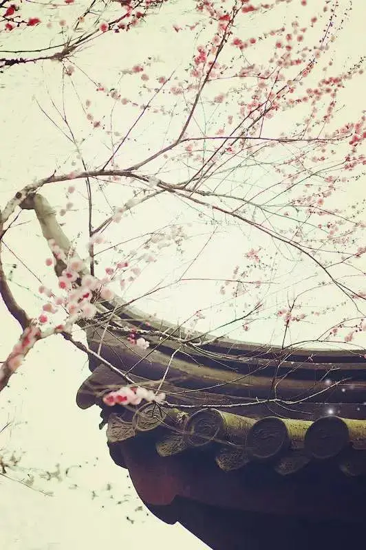 [转载]大美中国之绝美古建筑-花瓣网