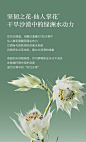 MCL花皙蔻仙人掌花洁面乳 温和清洁保湿不紧绷绵密泡沫干皮专研-tmall.com天猫
