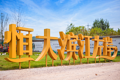 William不是王子采集到落地字