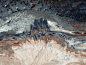 abstract Aerial Aerial Photography art FINEART Patterns red Salt textures structures