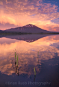 Photograph Brilliant Mt. Bachelor (Oregon Cascade Lakes Highway) 