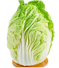 大白菜