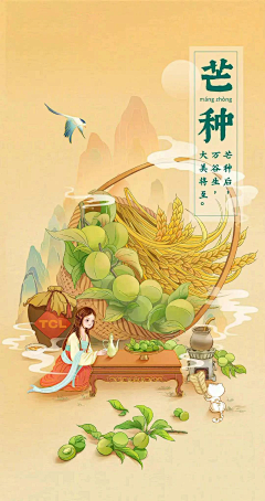 粽子-LYNN采集到24节气