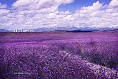 世界各地风景图片 【酷图网】风景,桌面壁纸,自然景观,自然风景,壁纸图片,图片,素材,壁纸,山水风景,河流,风景图片,唯美图片,风景画,风景壁纸,唯美壁纸,图片素材,背景图片,蓝天白云,大自然,蓝天,春天,夏天,秋天,冬天,大海,城市,建筑,景观,景点,国外风景,国内风景,户外,自然,森林,清新,花海,地球村,世界各地