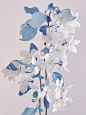 jpg,309x412 像素