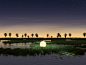 3D c4d CGI grass lake Landscape redshift water