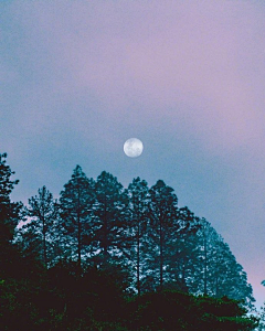 花未眠❀采集到元素-风景