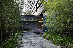 celosia采集到B-asian garden