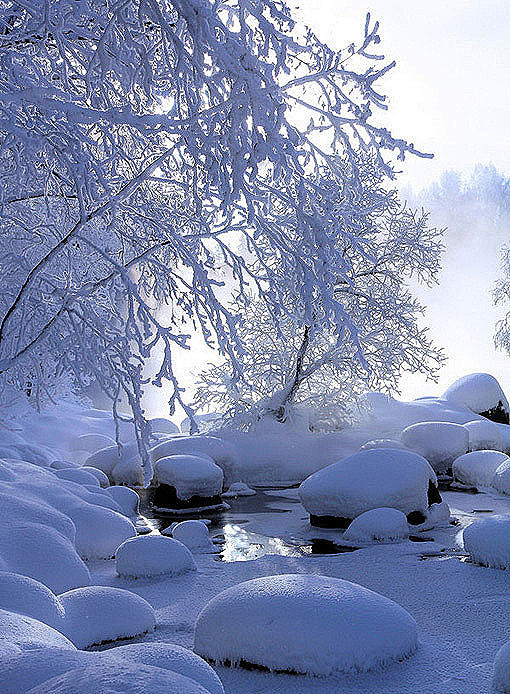 岁月无痕，雪舞流年冬梦已深。飘雪的午后，...