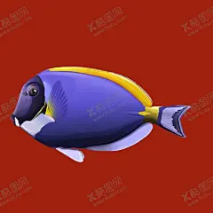 手绘热带鱼 【酷图网】手绘热带鱼,热带鱼,手绘鱼,热带鱼素材,金鱼