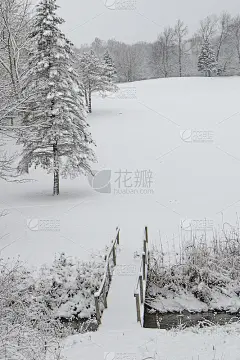 乡村Meddow在雪中的一座小桥——howard县印第安纳