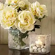 家居.装饰.墙面