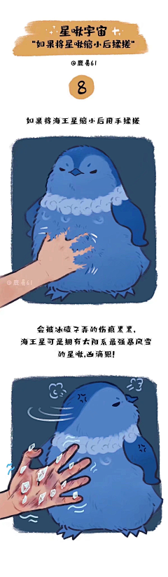 莯哥采集到可爱的动物