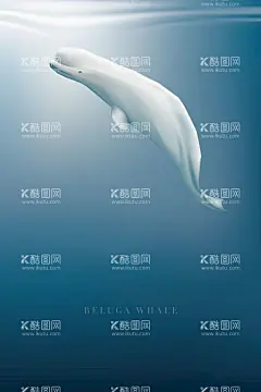 海豚  - 源文件下载【酷图网】水族馆海报,海豚,大海,浪花,海豚跳舞,海,海浪,海豚之乡,中华白海豚,白海豚,海洋馆,大海海豚,海洋海豚,海豚才艺,海豚跳跃,海洋世界微信,小海豚,海洋馆海豚,水族馆海豚,保护海豚,海豚表演,
