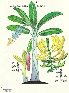 在波兰媒体署名文章提到的“卜弥格”是谁
