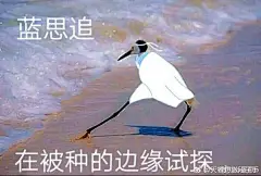 采集图片