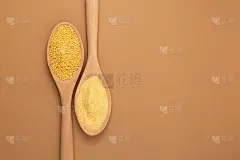 用木勺舀去壳小米粉和有机黄色谷物，俯视图。设计元素。米黄色背景，文字空间