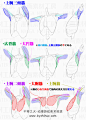 图解CG人体体块结构动作姿态画法教程 6257p