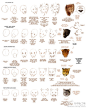 DIY频道：【猫科动物手绘（大图更清楚）】猫科动物头部的画法参考，过程很详尽！