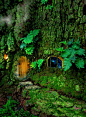 fairy house in the woods:  #花园# #创意# #素材# #庭院#