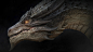 Dragon, JIN LH