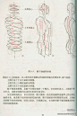 肌肉骨骼參考214p