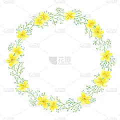 圆形框架的黄色花和gypsophila绘制在水彩。