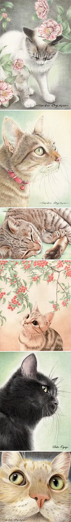 用彩色铅笔画出如此梦幻的喵星人