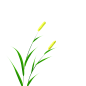 9d76f99078994e97a0ef5c9a11305247c29ba8be1c4d1-aPphR7