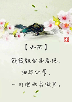 季辞的猫采集到花四时