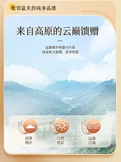 同仁堂北京同仁堂苦荞茶250g四川大凉山黄黑苦荞茶荞麦茶大麦茶泡水养生 两罐装【图片 价格 品牌 报价】-京东