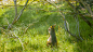 e82f983fly1h2x685ppm0j222215ox6p.jpg (2666×1500)