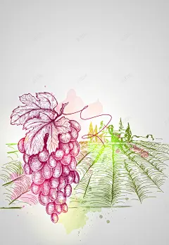 手绘葡萄酒庄园红酒广告海报背景矢量图 餐饮美食 背景 设计图片 免费下载 页面网页 平面电商 创意素材