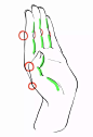 【新手教程】第5期：手部篇，怎样了解并画好一双手呢？