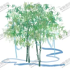 水墨竹子 【酷图网】水墨竹子,富贵竹素材,富贵竹元素,富贵竹背景,富贵竹图片,竹子,竹子素材,竹子元素,竹子背景,竹子底纹,矢量竹子,竹,竹素材,竹元素,竹背景,矢量竹,竹报平安,手绘竹子,高清竹子,中国风竹子,植物竹子,竹林